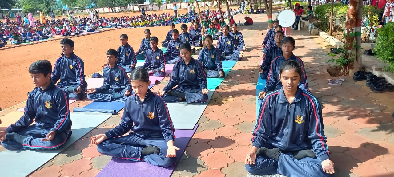 International Yoga Day